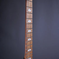 Powers Electric A-Type Cosmo Orange CamTail