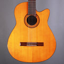 Used gear Begagnat Landola C200 Cut USED - Very Good Condition - No Case tgt11