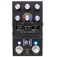 Walrus Audio Pedaler Walrus Audio MAKO SERIES MKII R1 Reverb tgt11